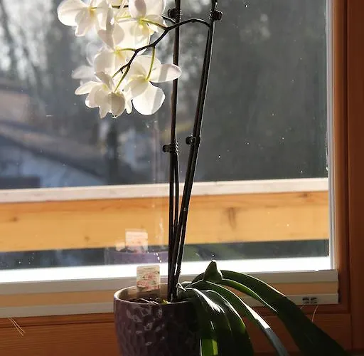 Oda ve Kahvaltı Christina